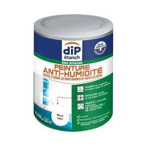 Peinture Anti-Humidité Murs...