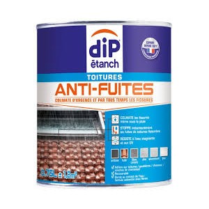 Anti-fuites Toitures DIP...