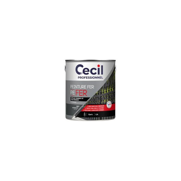 PEFER Peinture Fer CECIL PROFESSIONNEL 2.5L